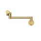 Star Mini Kitchen Pot Filler Pvd Polished Brass