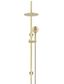 200mm Round Overhead Shower Rail, Three Function Hand Shower Tiger Bronze
