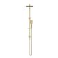 CHAO SHOWER COLUMN SET PVDBRUSHED BRONZE