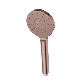 PADDLE HAND SHOWER PVDCHAMPAGNE