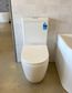 Meyer Tornado MATTE WHITE Back to Wall Toilet Suite