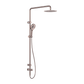 MECCA CARE 25MM GRAB RAIL 900MM TWIN SHOWER SET BRUSHED BRONZE