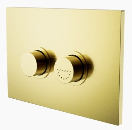 RAISED DISABLED CARE PNEUMATIC FLUSH BUTTONS PLATE DDA COMPLIANT  BRUSHED GOLD