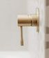 OPAL SHOWER MIXER 80MM PLATE BRUSHED GOLD