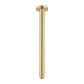 Brushed Gold Round Ceiling Arm 300mm