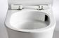 Tornado Rimless Back To Wall Toilet Suit