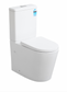 Avalon Rimless Back to Wall Toilet Suite