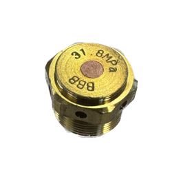 Burst relief valve 31.8mpa for cylinder valves