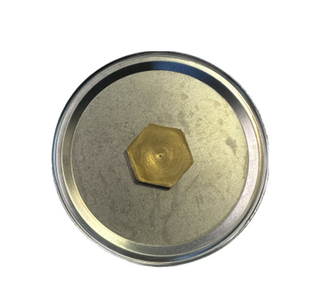 Stainless Steel Diaphram with SRV for 2500 kpa reg