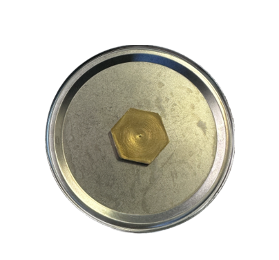 Stainless Steel Diaphram with SRV for 2500 kpa reg