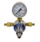 Model 821 - CO2 Regulator (Preset 200KPA)