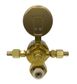 Model 821 - CO2 Regulator (Preset 200KPA)
