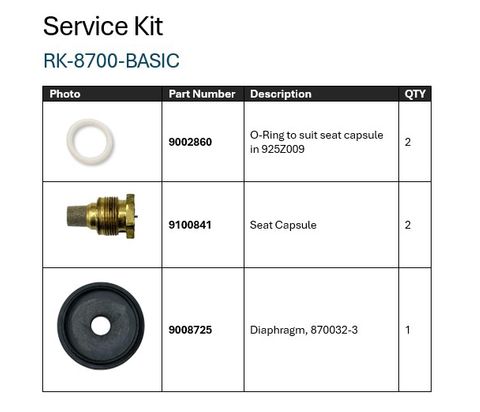 8700 Repair Kit (Diaphragm & Seat)