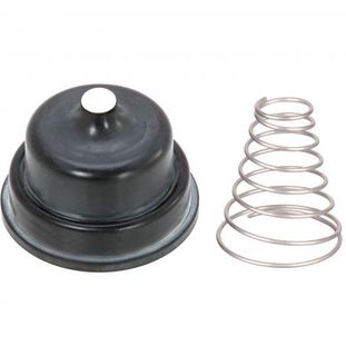 Hansen Leveller & Max Flo Diaphragm & SS Spring