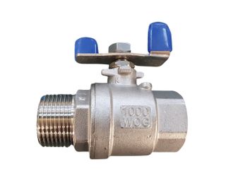 Ball Valve SS M&F T Handle 20