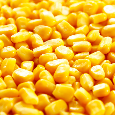Organic Corn Kernels 10Kg