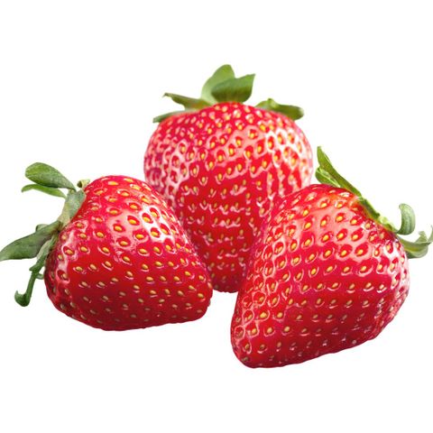 Strawberries 10kg Bulk Serbia