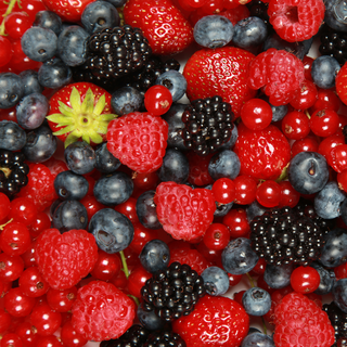 7 Mixed Berries 10kg Bulk (EU)