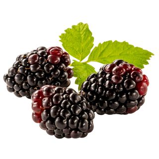 Boysenberry Aussie 10kg Bulk