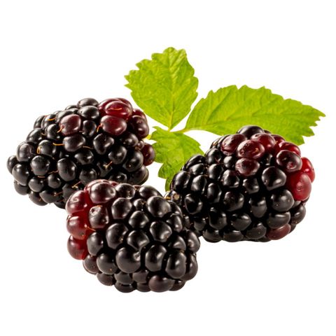 Boysenberry Aussie 10kg Bulk