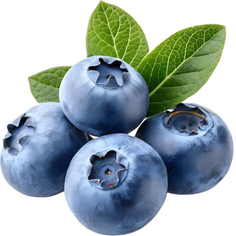 Blueberries A Grade 13.61kg