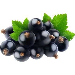 Blackcurrants AUS 9kg Bulk