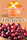 Sunnyside IQF Cranberries 2x2.5kg