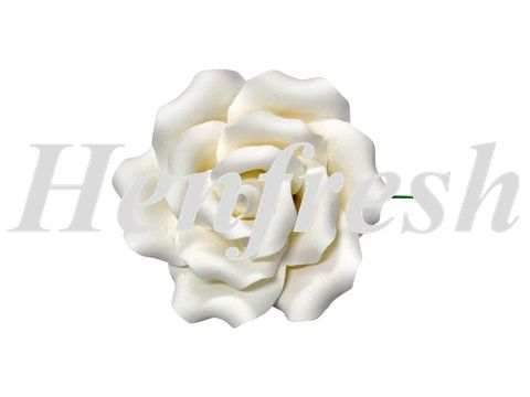 SI Single Sugar Curled Rose Medium White 9