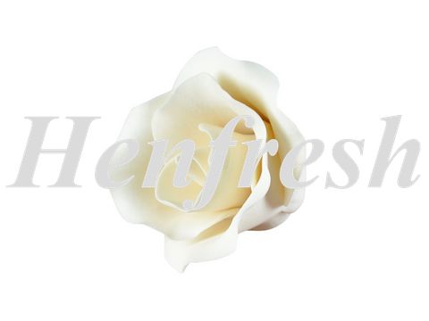 SI Medium Single Rose White 5 cm