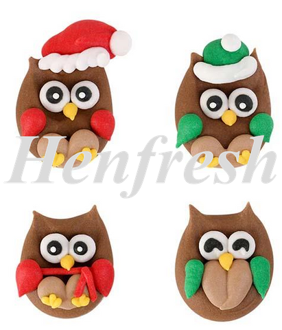SI Royal Icing Christmas Owls (64)