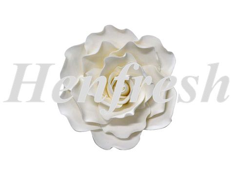 SI Single Sugar Damask Rose Large White (9)