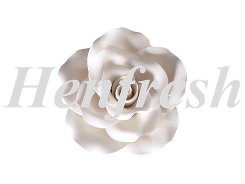 SI Single Old Fashion Rose White 7cm (9)