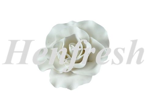 SI Large Single Rose White 8cm 8pce