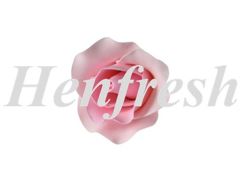 SI Medium Single Rose Pink 5 cm (15)