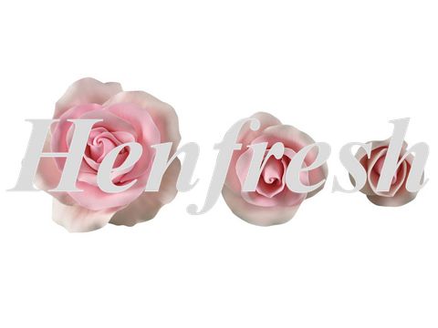 SI Mixed Size Roses Pink  (15)