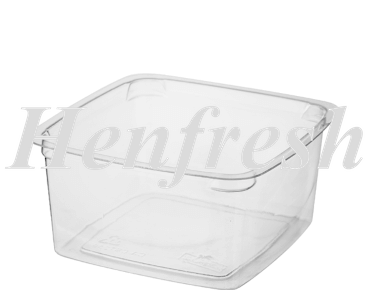 CA Reveal® Clear Square Container Medium 250ml 500