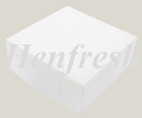 10x10x5 600um Cake Boxes (50) Confeta