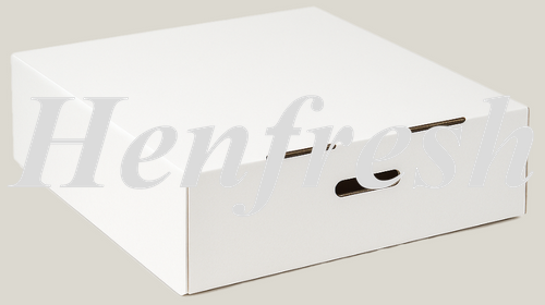 20x20x6 Corrugated Cake Boxes (25) Confeta