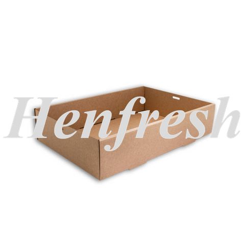 TP Kraft Catering Box Medium 100