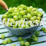 Sunnyside IQF Goose Berries Green 2x2.5kg