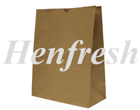 SOS #15 Paper Bag Brown (250) 330H x 258W x 120G