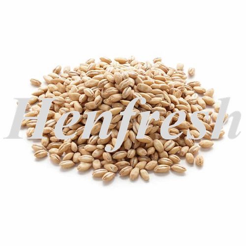 Pearl Barley 25kg