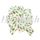 Ribbon Pull Bow Pom Pom Holly 5pk