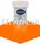 AmeriColor Powder Colour 3gm Orange