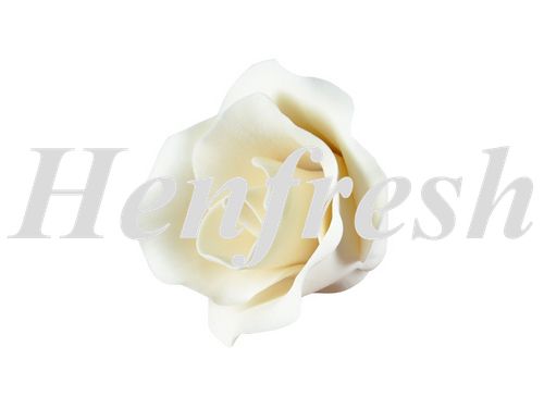 SI Medium Single Rose White 5 cm