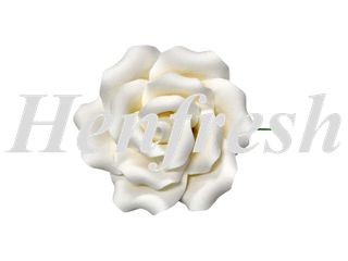 SI Single Sugar Curled Rose Medium White 9