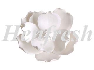 SI Medium Sugar Flower Magnolia 4" (16 box)