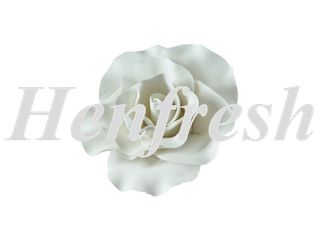 SI Large Single Rose White 8cm 8pce