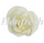 SI Medium Single Rose White 5 cm 15pce