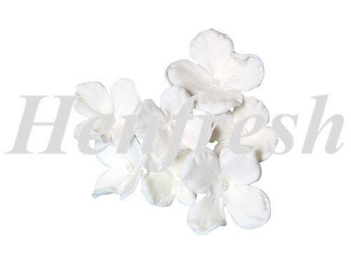 SI Hydrangea White (54) Mix Size